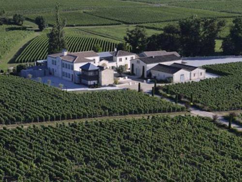 Chateau La Rose Perriere Lussac  Buitenkant foto